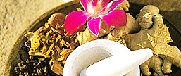 ayurveda